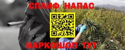 прущие грибы Аргун