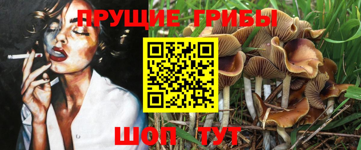 Балаково  Псилоцибиновые грибы MAGIC MUSHROOMS  Вход с VPN 