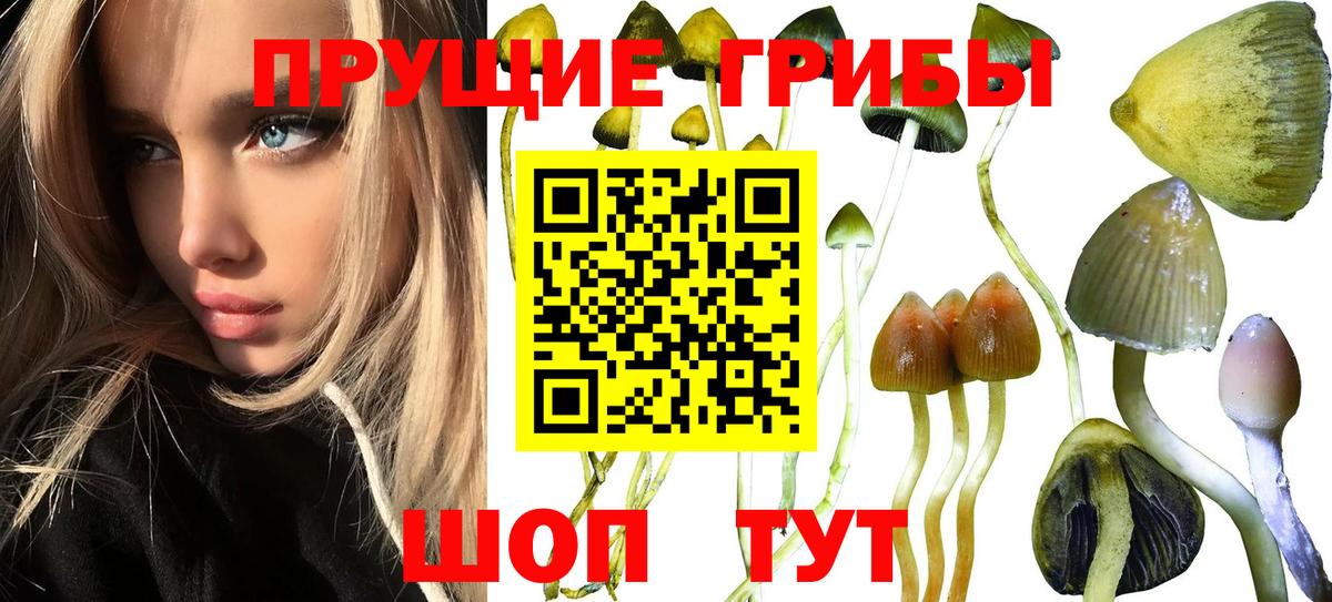 Псилоцибиновые грибы Magic Shrooms Балаково